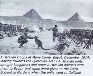 ANZAC